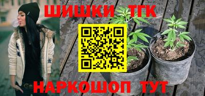 трава Кингисепп