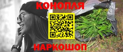 трава Кингисепп