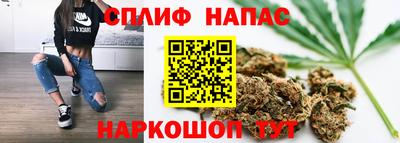 spice Кимры