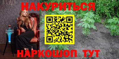 трава Кингисепп