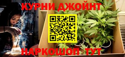 трава Кингисепп