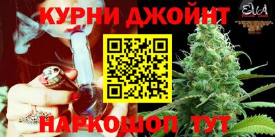 spice Кимры