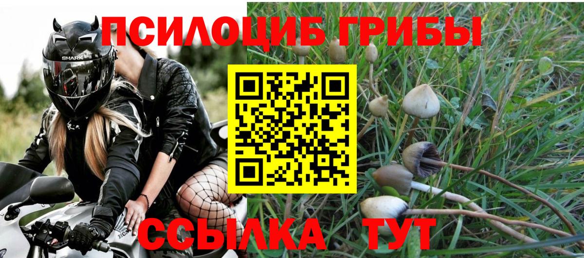 Галлюциногенные грибы GOLDEN TEACHER Котельники