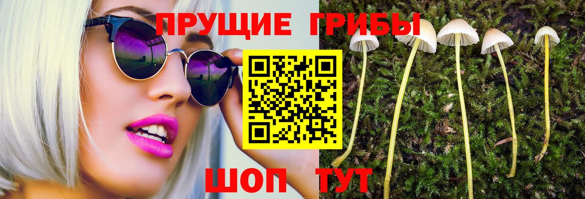 Галлюциногенные грибы мицелий  Вход с VPN  Котельники  Галлюциногенные грибы прущие грибы 